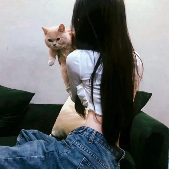 老夫子之小水虎传奇